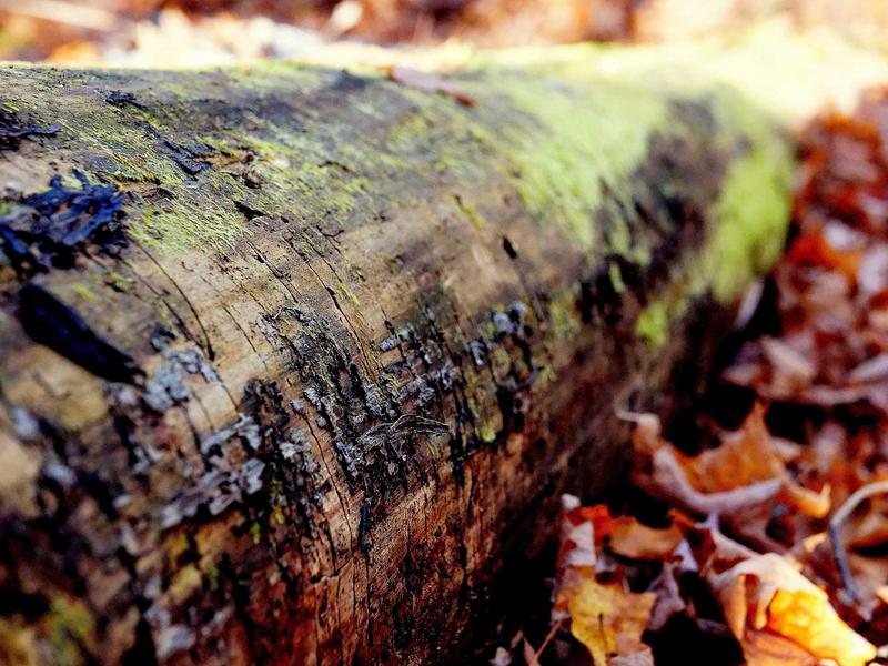 sudoku color blind mode screenshot 1