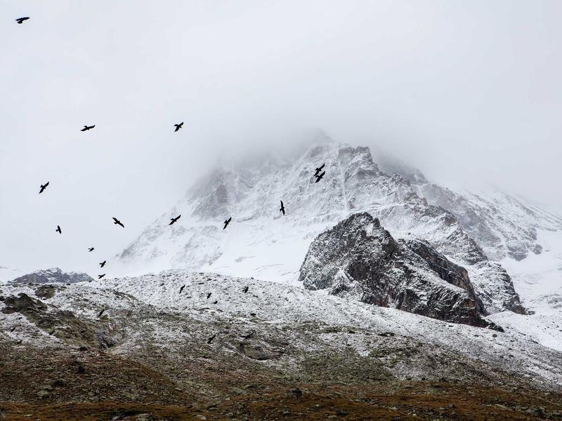 sudoku color blind mode